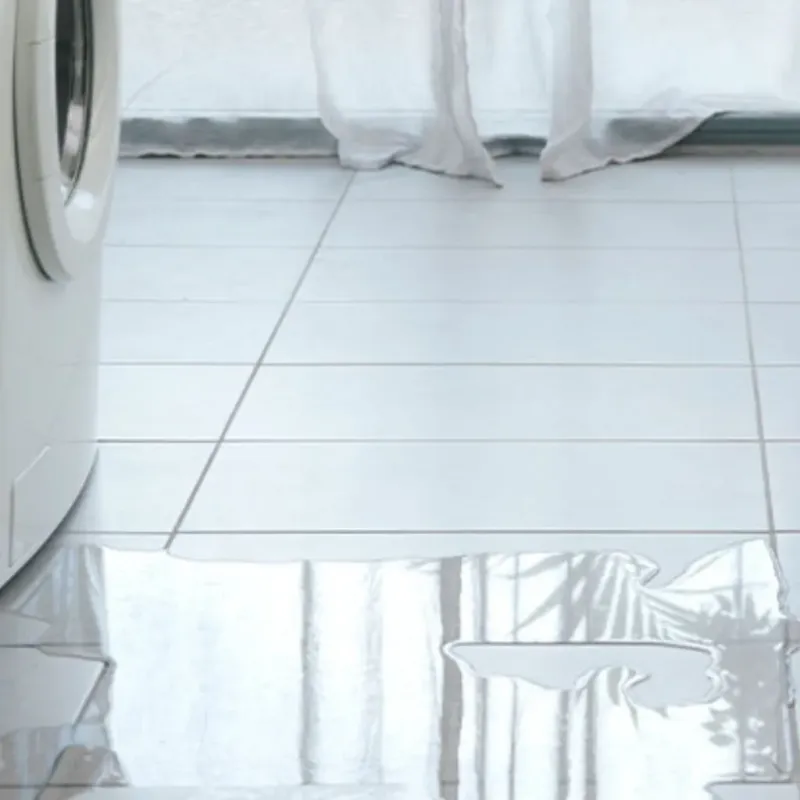 Appliance Leak Cleanup in Venice, FL