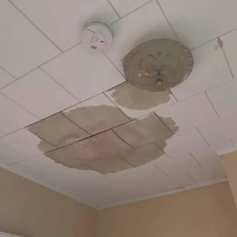 Ceiling Water Damage Repair in Venice, FL